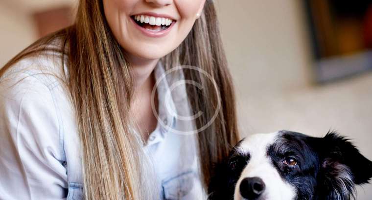 Cuidados Domiciliares para Pets